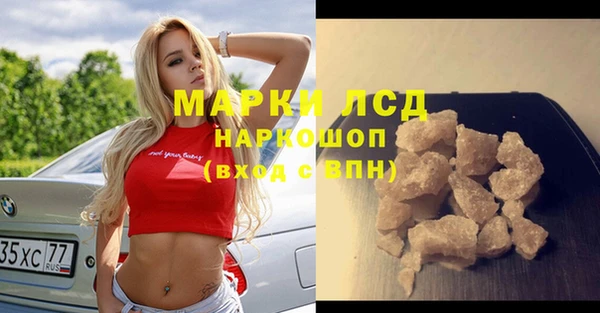 гашик Нефтекумск